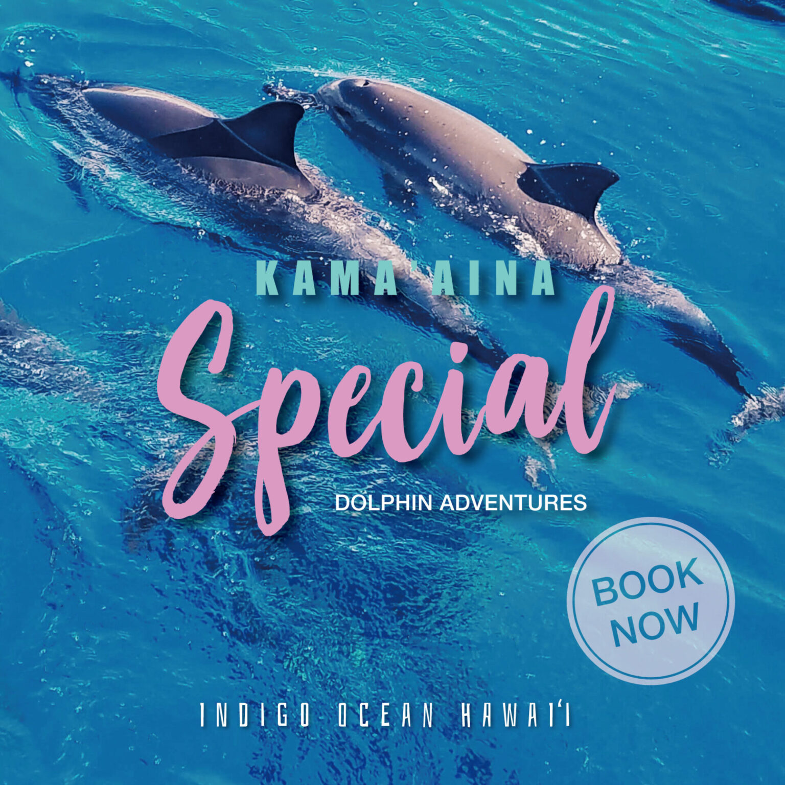 Kama'aina Special Indigo Ocean Hawaii