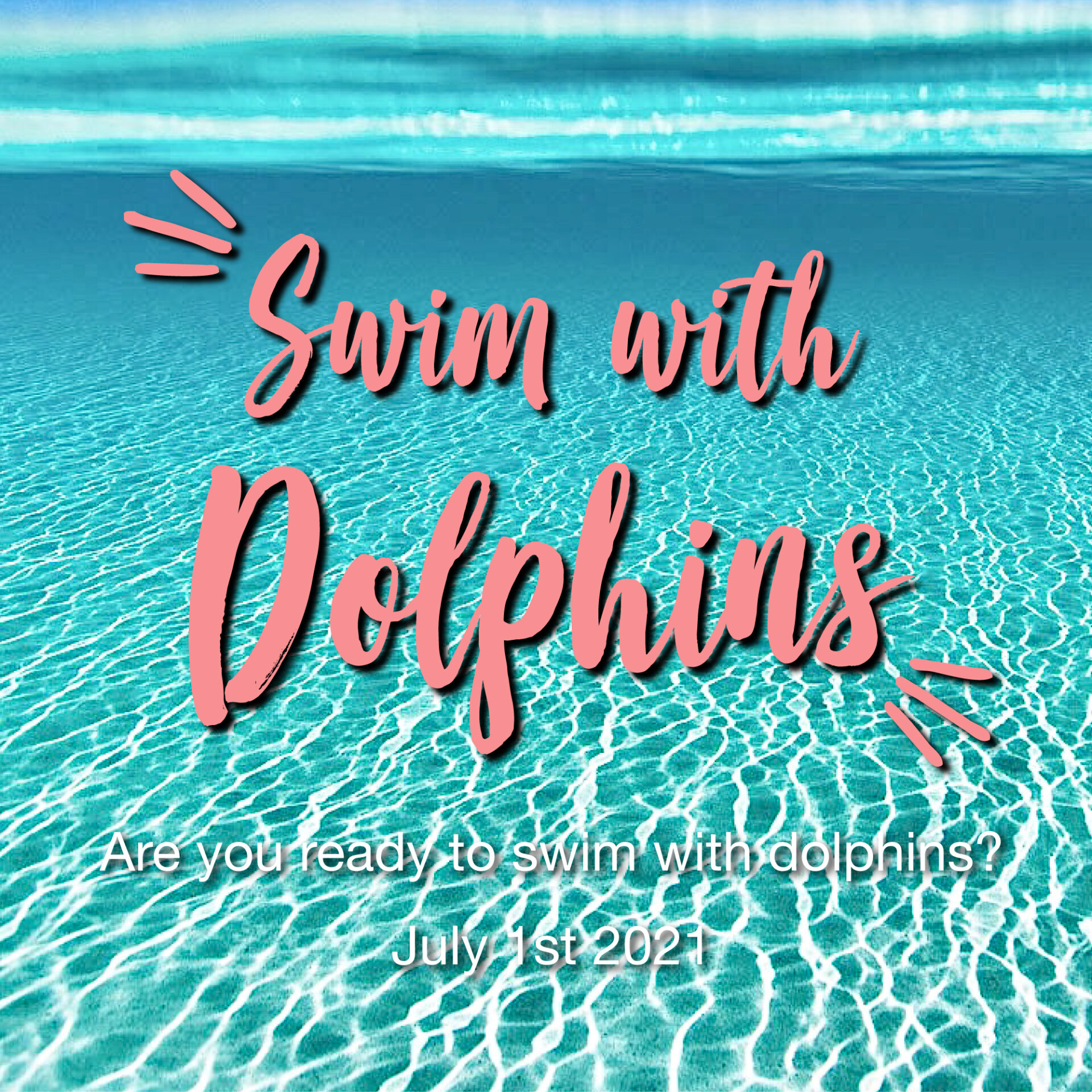 Swim with dolphin