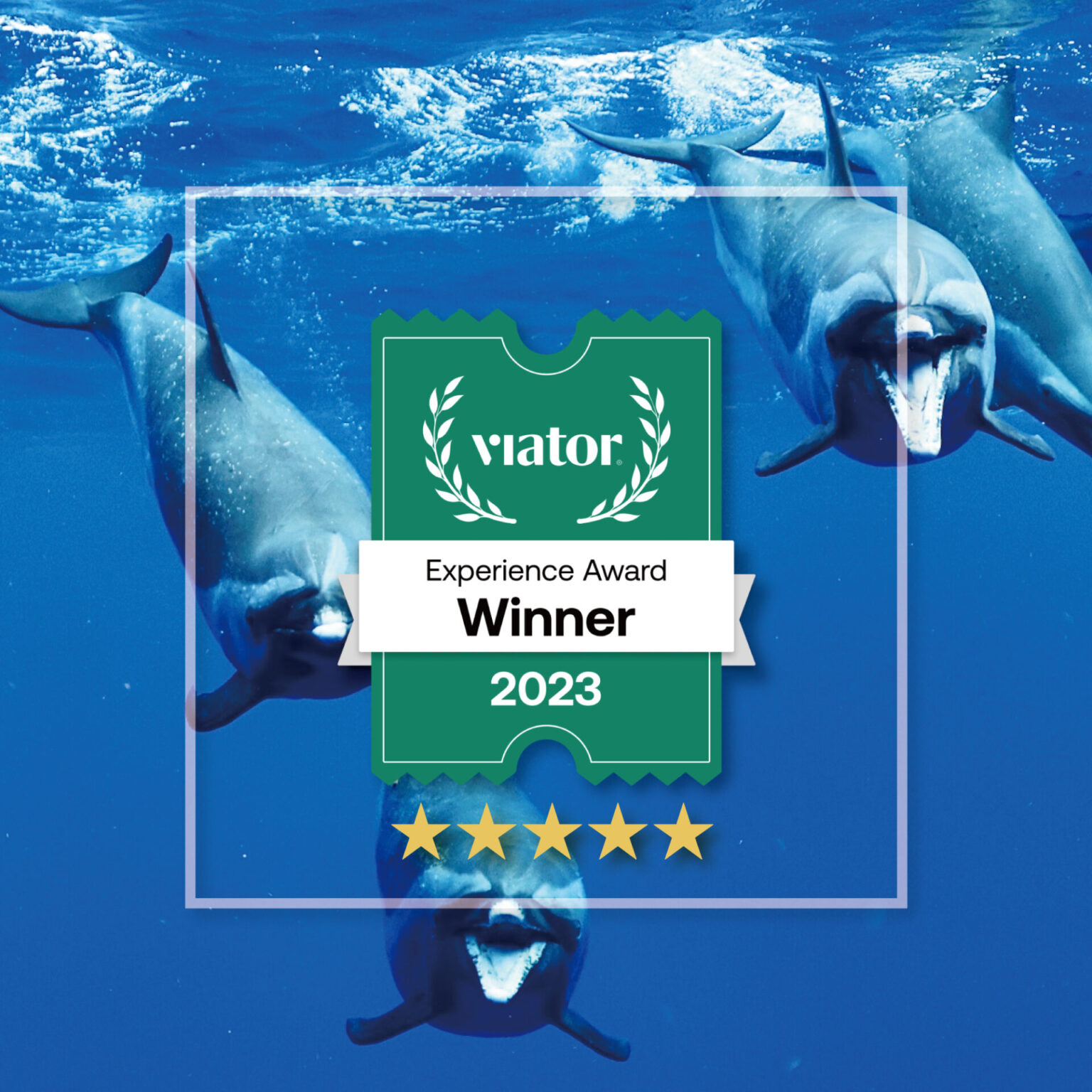 Viator Experience Award 2023 受賞 Indigo Ocean Hawaii